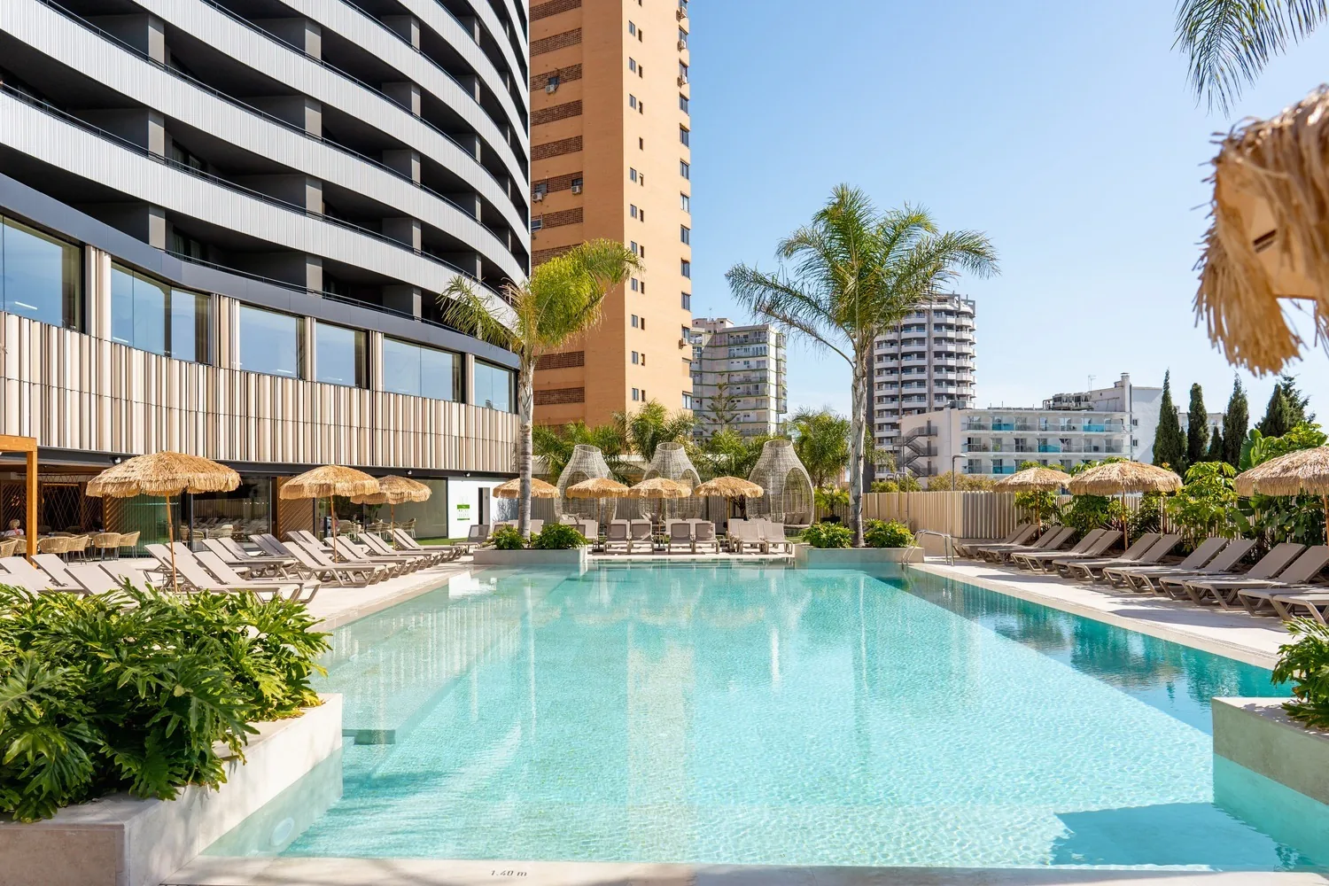 Piscina entre palmeras en Benidorm